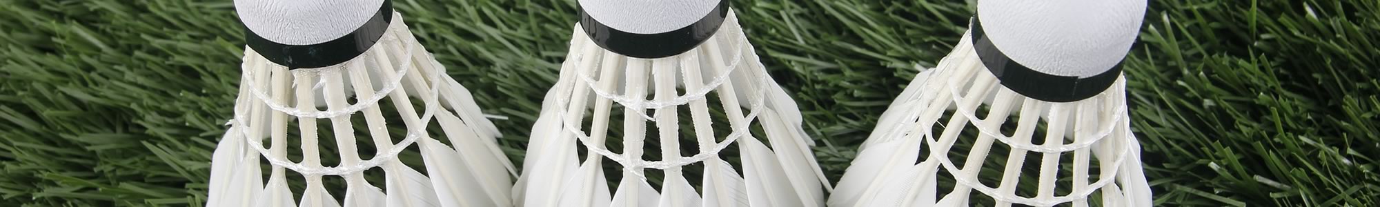 Four Oaks Badminton Club - Streetly